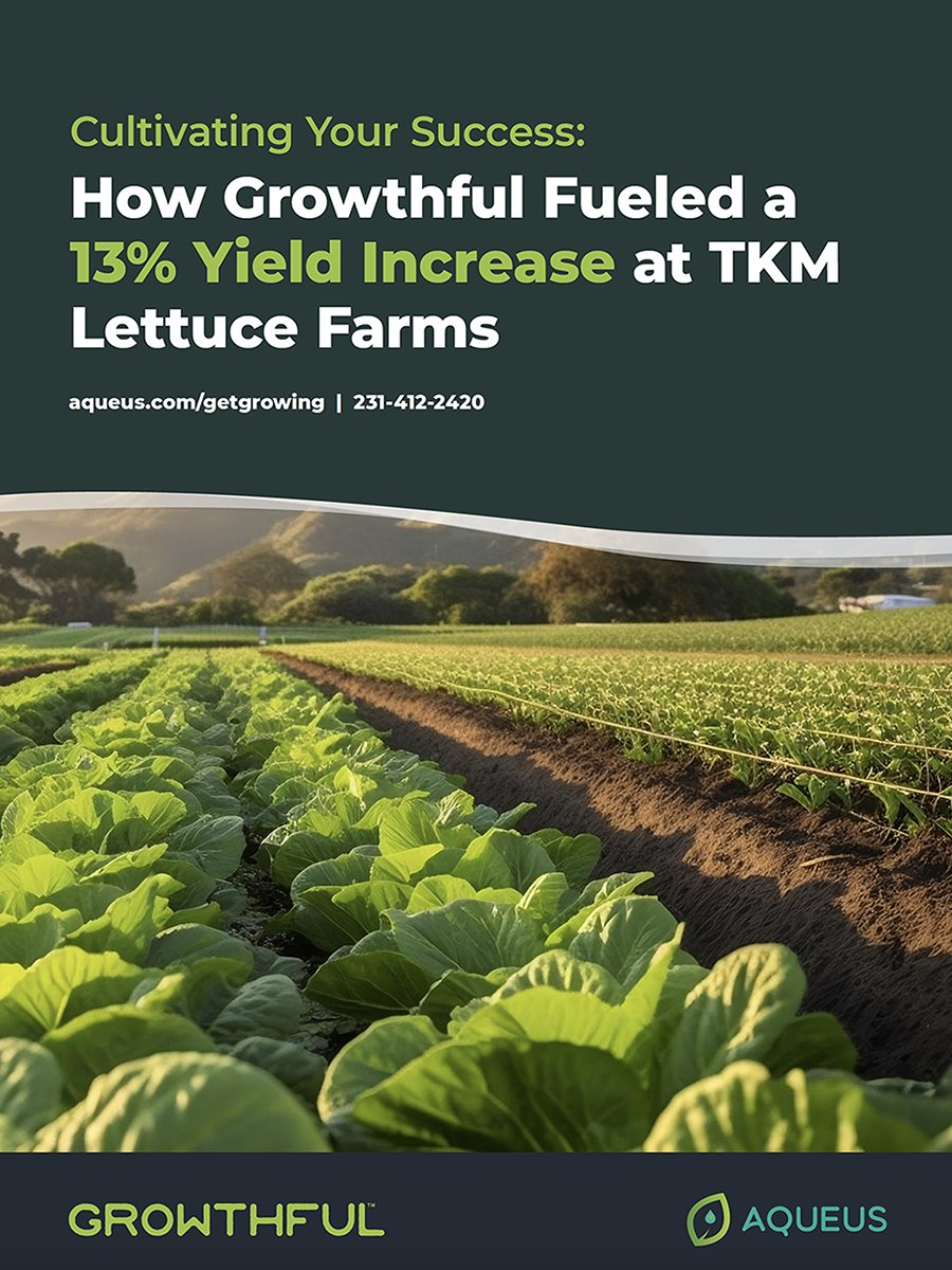 TKM Lettuce Farm