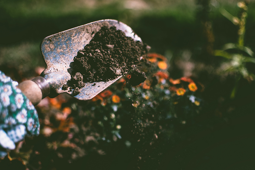 soil with good soil ph