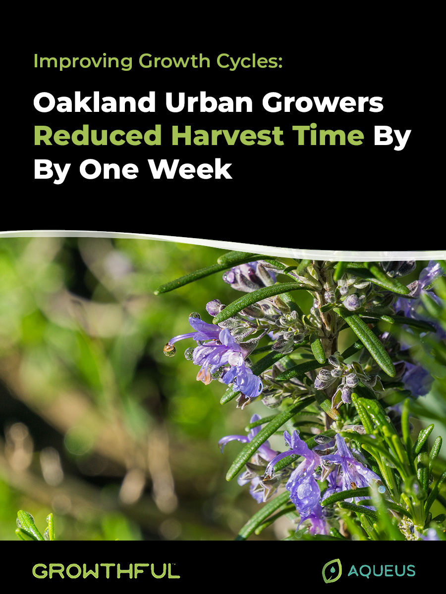 Oakland Urban Growers