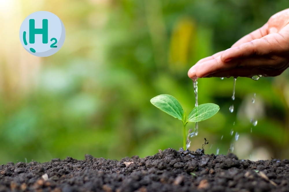 Hydrogen’s Role in Crop Production