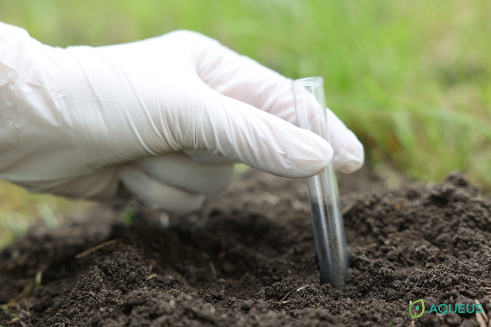 Sculpting the Microbiome: How Growthful Stabilized Proton Technology Enhances Biologicals